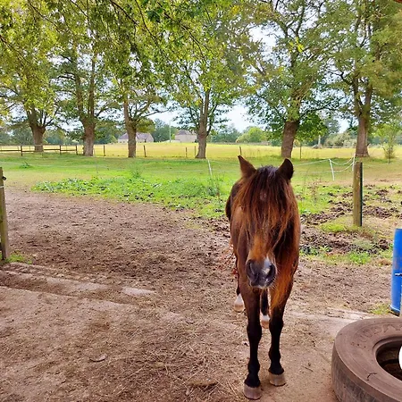 Feriehus La Pichardiere