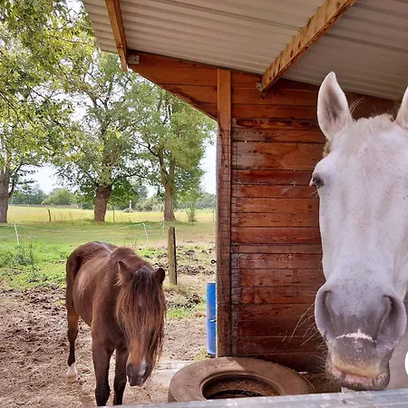 Feriehus La Pichardiere