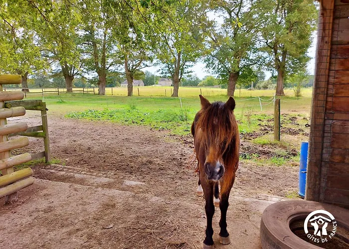 Semesterbostad La Pichardiere