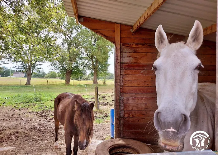 Semesterbostad La Pichardiere